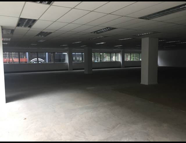 2,731M² OFFICE TO LET IN CAPE TOWN CITY CENTRE